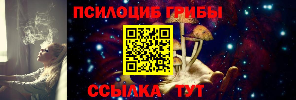 Псилоцибиновые грибы MAGIC MUSHROOMS Новоалтайск